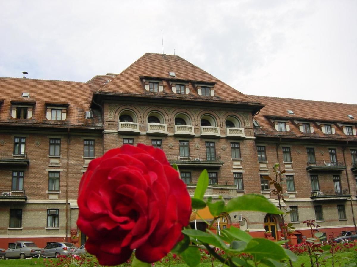 Отель Hotel Triumf Бухарест
